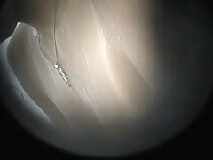 ssu0073-0076 Passionate Nights-Frisky Japanese Beauties in Intimate Heat