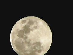 GEXP36_02 Live Intimate Webcam Show-Dive into Your Wildest Dreams Tonight!