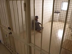 PRED-158 Japanese Temptress-Sultry Fantasies & Seductive Blowjob Delights