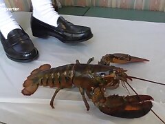 hiyori1-1-3full Nippon Daughter's Secret Fantasy-Intimate Moments Under Dad's Gaze