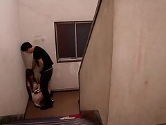 IPZ-382 Seductive Cosplay Bunny-A Steamy Solo Fantasy Showdown