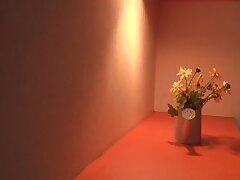 MDTM-664 Beachside Bliss-Hina & Friends' Unstoppable Cock Devouring Frenzy!