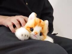 CWB16 Chiaki's Sweet Temptation-Idol's Intimate Blowjob Bliss