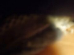 cks-051 Passionate Asian Doll-From Oral Delights to Intense Love Making